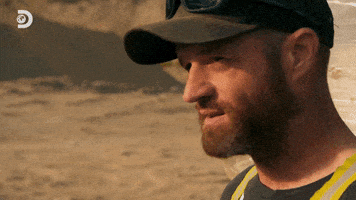 GIF by Discovery Europe