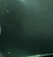 Linkin Park Japan GIF