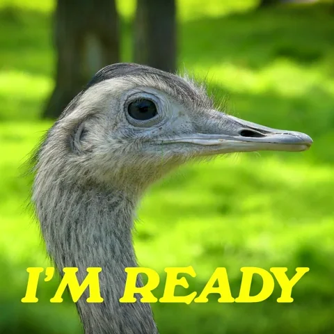 Im Ready Lets Go GIF