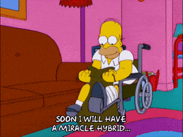 closing homer simpson GIF