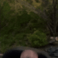 Jamming Rock N Roll GIF by Foo Fighters