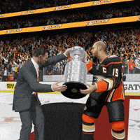 stanley cup nhl GIF
