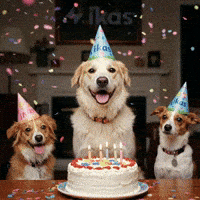 Celebrate Happy Birthday GIF by Salih Kizilkaya