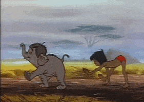 The Jungle Book Friends GIF