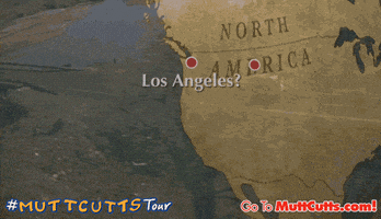 premiere mutt cutts GIF by Dumb and Dumber To