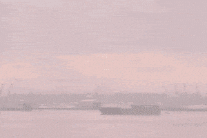 Washington State City GIF by 50statesproject