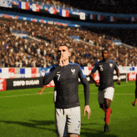 France Yes GIF by EA SPORTS FC