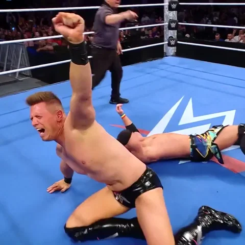 I Win The Miz GIF
