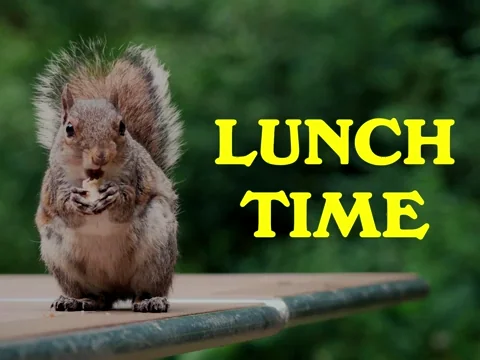 Hungry Feed Me GIF