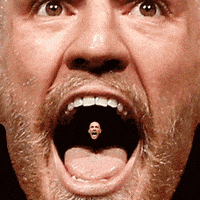 Ufc 196 Wtf GIF by Conor McGregor