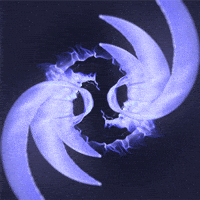 circle GIF by Motion Addicts