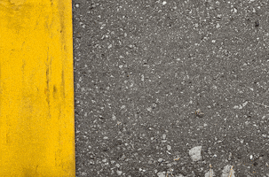 Rainbow Color GIF by Roarockit Skateboard Company