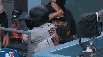 Regular Season Sport GIF by MLB
