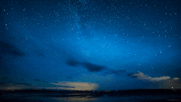 water night GIF by Living Stills