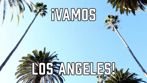 Los Angeles Football GIF