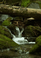 Stream Perfect Loop GIF