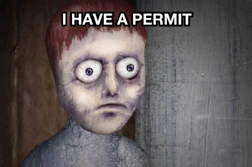 I Do What I Want Wtf GIF