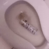 Oh No Toilet GIF by Respective
