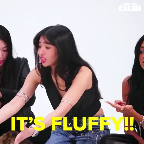 Girl Group Puppy GIF