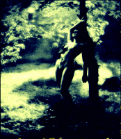 garden of eden art GIF by Re Modernist