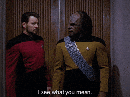 Star Trek GIF by Goldmaster