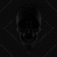 new media loop GIF by Morena Daniela