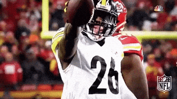 Pittsburgh Steelers Football GIF by NFL
