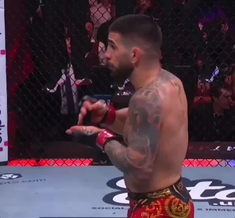 El Matador Sport GIF