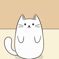 Cat Help GIF by MESA My Emotional Support Animal