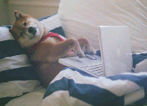 Wednesday Morning Laughing GIF