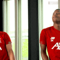 Premier League Lol GIF by Liverpool FC