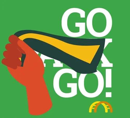 Green Bay Packers Football GIF