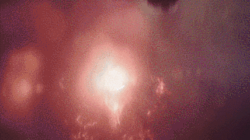 sci-fi fox GIF by Ghosted