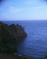 GIF by Liaizon Wakest