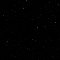 Cryptocurrency Blockchain GIF by Nexus