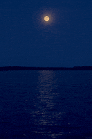 water moon GIF by Living Stills