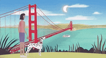 Solar Eclipse GIF by NASA