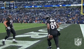 Baltimore Ravens Football GIF by NFL