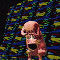 We Did It Yes GIF by Hot Regards