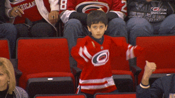 hockey dancing GIF by Carolina Hurricanes