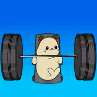 Work Out Fun GIF by Sappy Seals Community