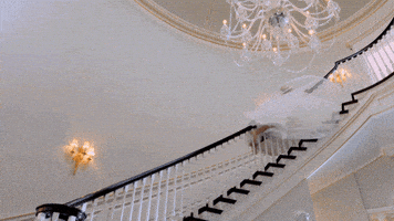 kaitlin olson fox GIF by The Mick