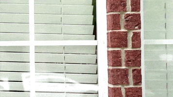 Whats Up GIF by Jason Earls