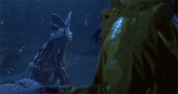 gif used in post