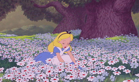 gif used in post
