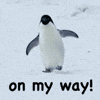 Here are the Linux Commands that will save you time and headaches