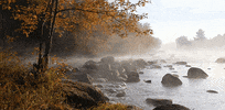 Living in Sync with the Seasons