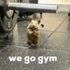 Curious… Who in Here is Actually a Fitness or Health Coach?