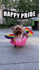 Are you coming to the posting party at 10am est?