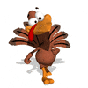 Your Turkey Personality Test